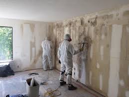 Best Crawl Space Mold Remediation  in Crystal Lake, FL